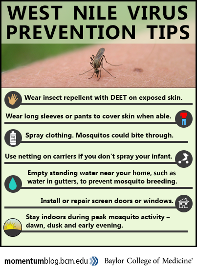 West Nile Virus: Symptoms, Treatment & Prevention