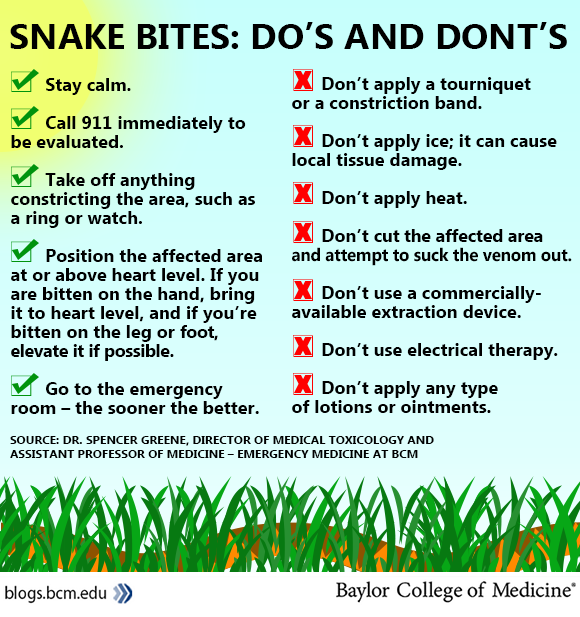 Cobra Bites: What to Do and What Not to Do in an Emergency