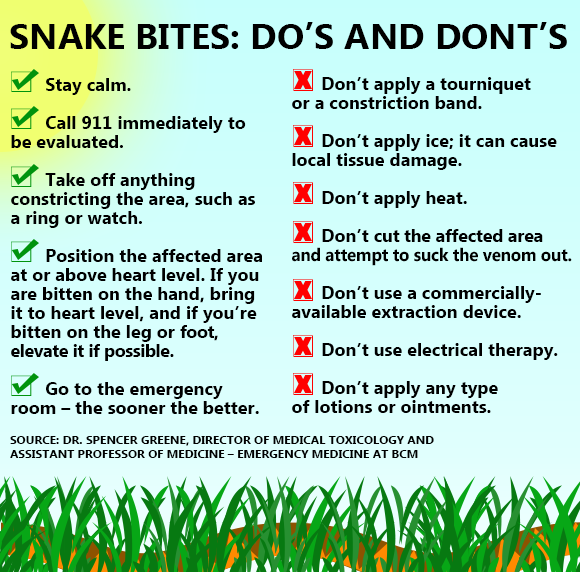 Snakes Bites Do's and Dont's