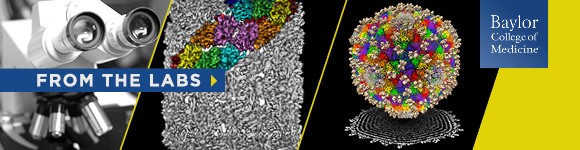 cropped-fromthelabsheader_59336