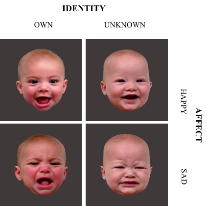 An example of images shown to mothers of their own babies faces vs. a child they are not familiar with. 