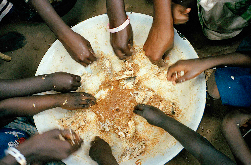 Gambia Food bowl. Credit: Felicia Webb 