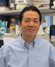 Dr. Jin Wang, associate professor of pathology & immunology