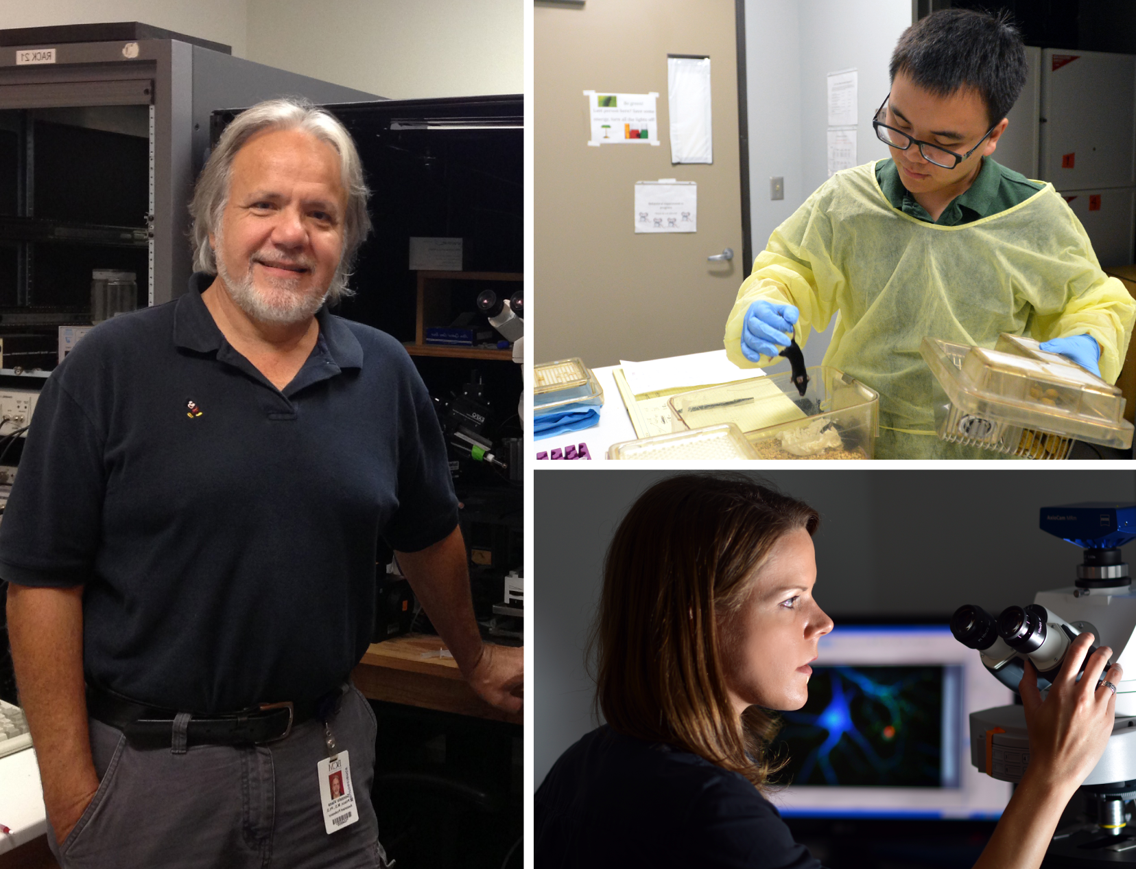 From left: Dr. Gonzalo Viana Di Prisco, assistant professor; Wei Huang, graduate student; Dr. Shelly A. Buffington, postdoctoral fellow, all in the department of neuroscience.