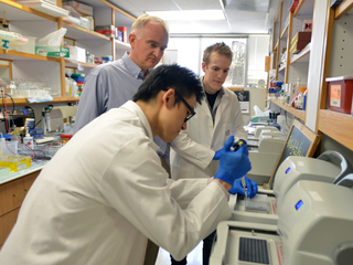 From left, Bo Yuan, Dr. Pawel Stankiewicz and Ian Campbell in the lab.