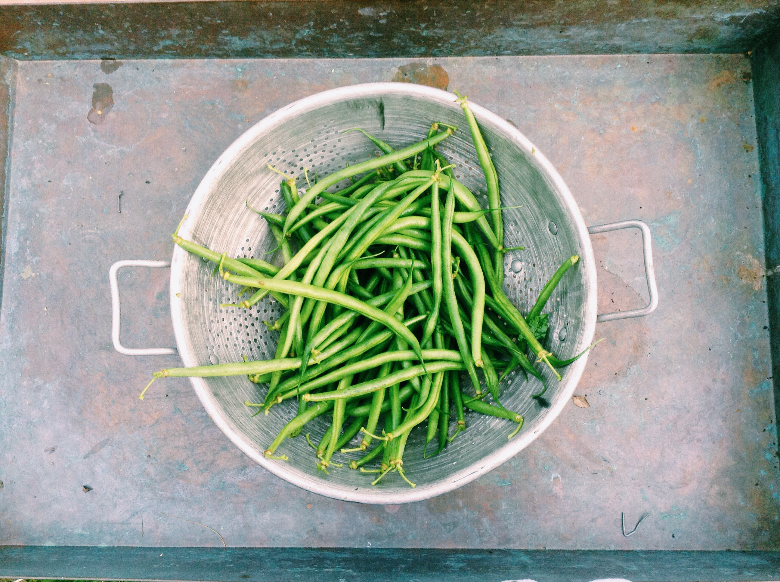 food-healthy-summer-green