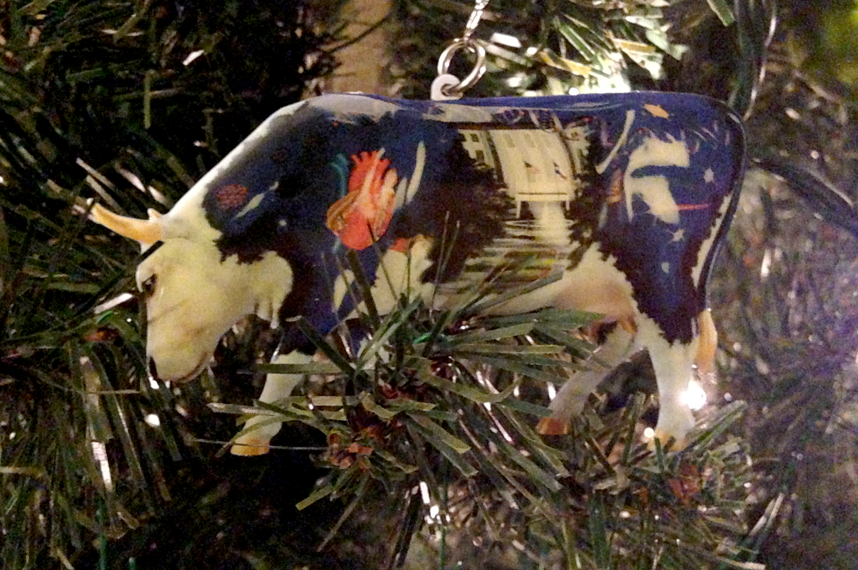 The photos may be new, but the Baylor Cowlege of Medicine ornament is 13 years old.