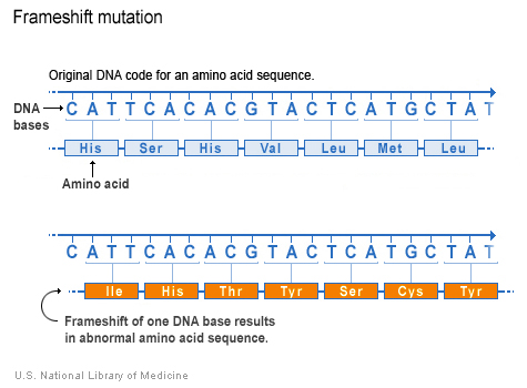 Frameshift mutation 