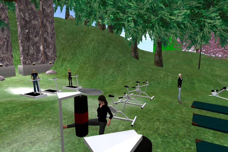 A screengrab from the GoWomen program in Second Life shows an avatar kicking a punching bag.