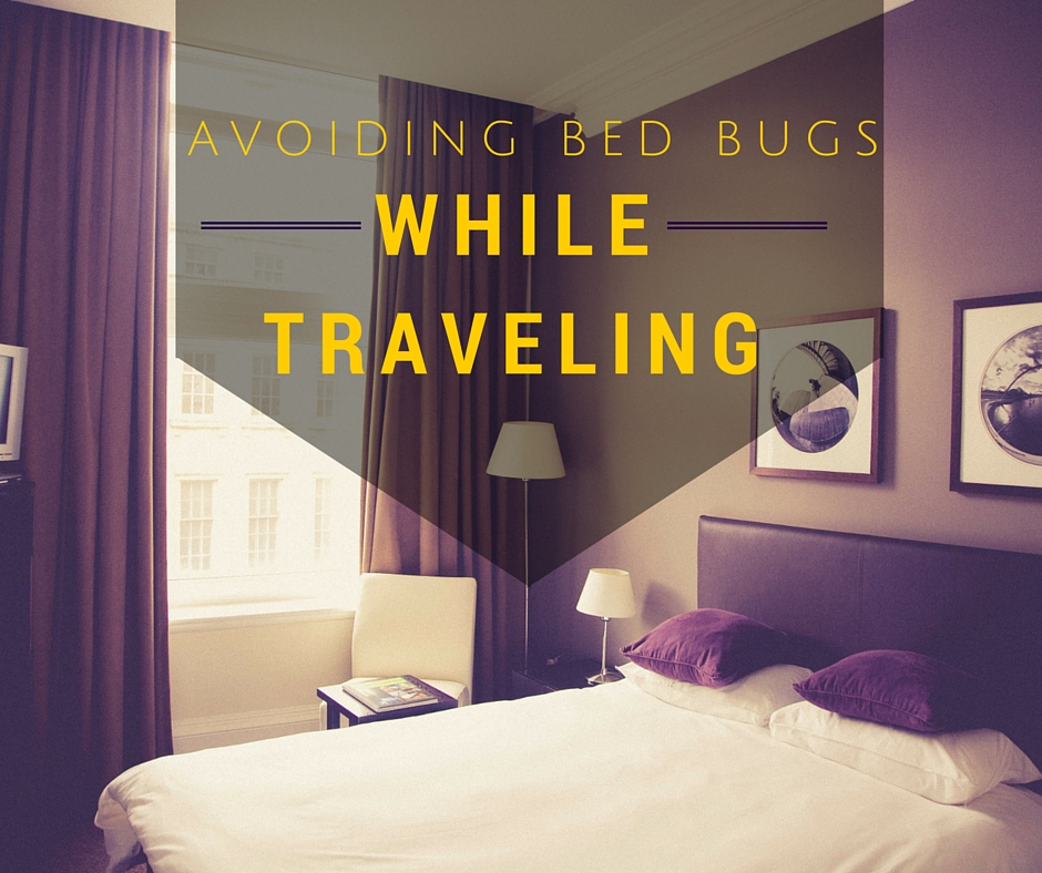 blog-bed-bug