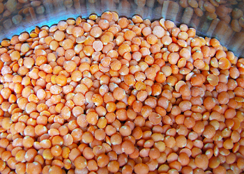 red-lentils-featured