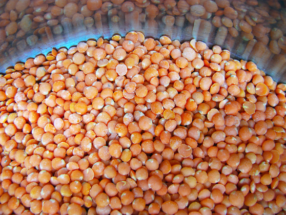 red-lentils