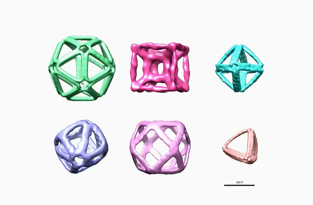 DNA origami