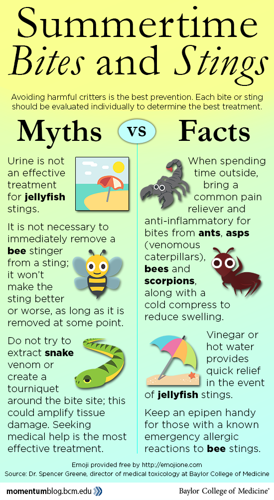 Myths and facts about bites and stings - Baylor College of Medicine Blog  Network