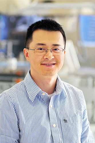 Li Xin, Ph.D.