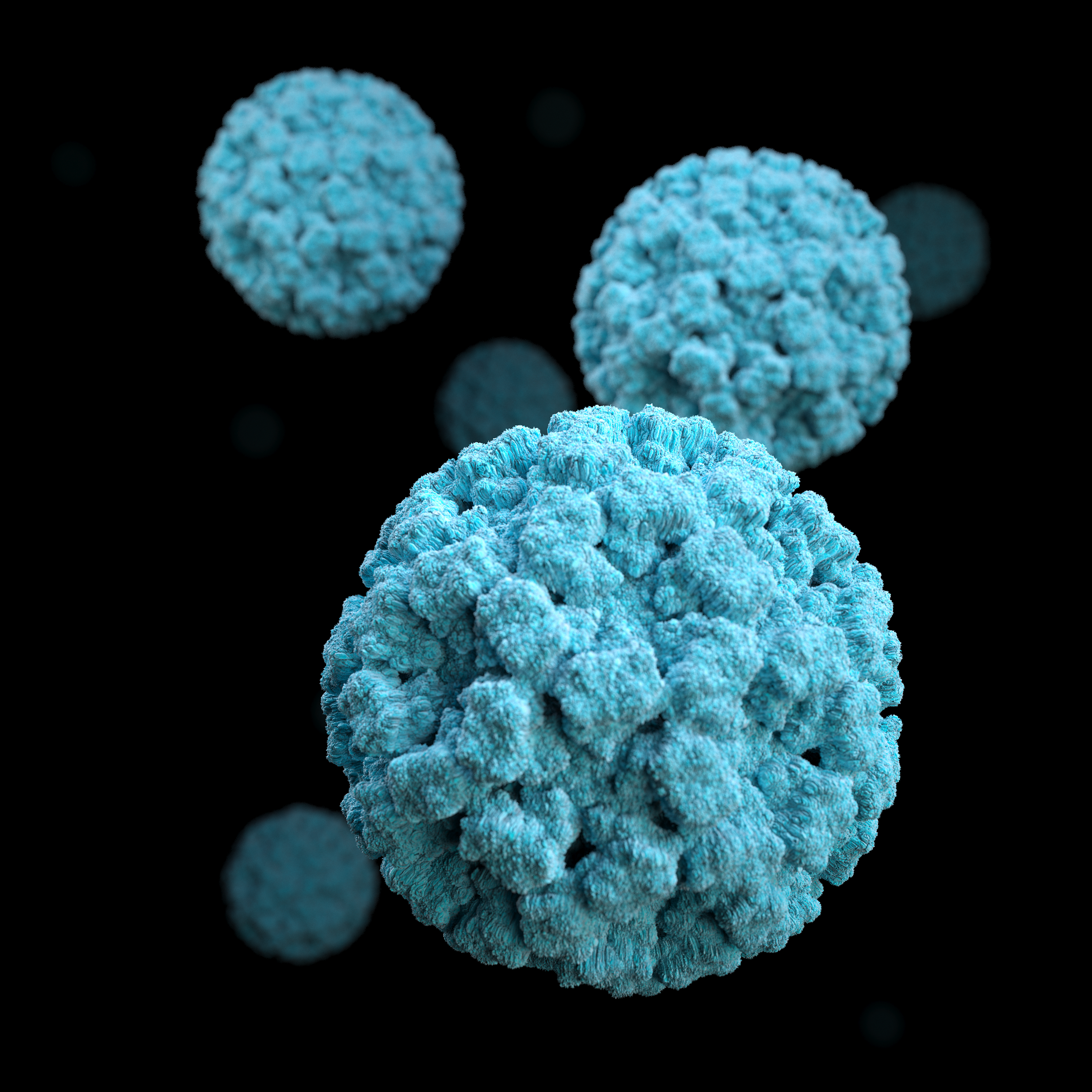 Norovirus. CDC/Jessica A. Allen