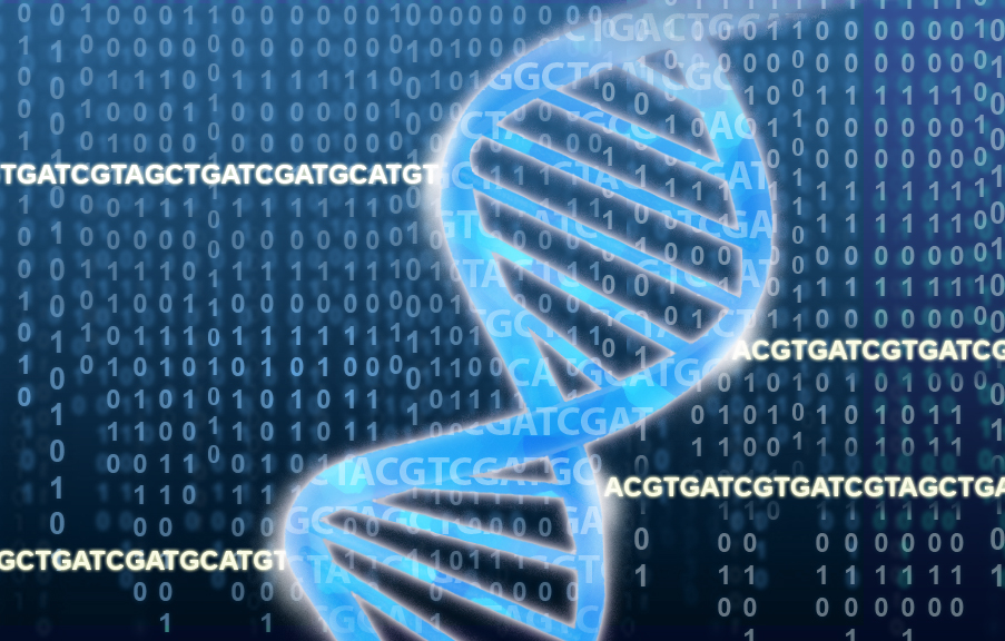 The DNA double helix rests on a field of ACGTs and binary numbers. Credit: Jonathan Bailey, NHGRI