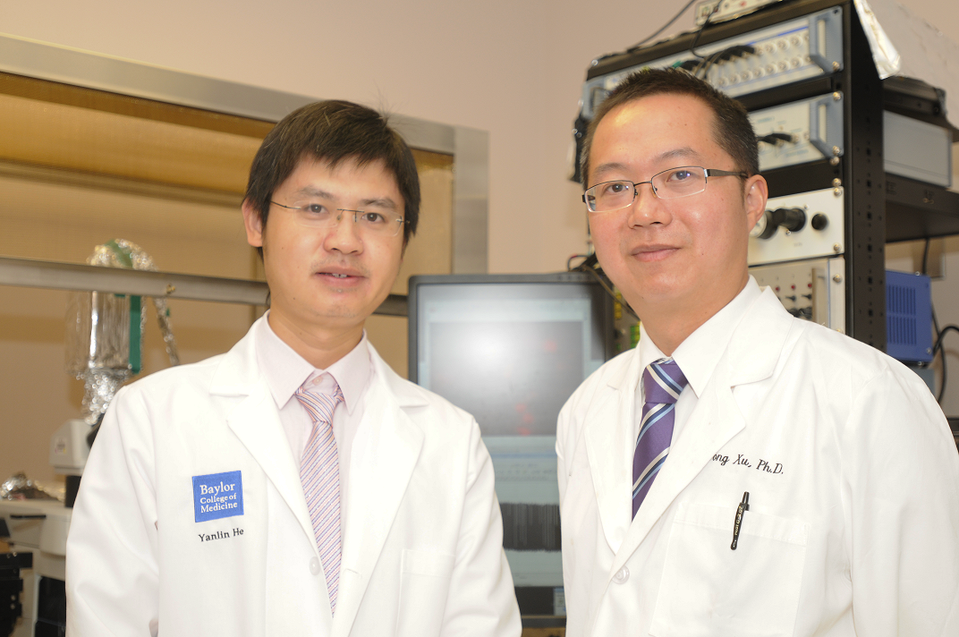 Dr. Yong Xu (R) and Dr. Yanlin He, research associate in Dr. Xu's lab.