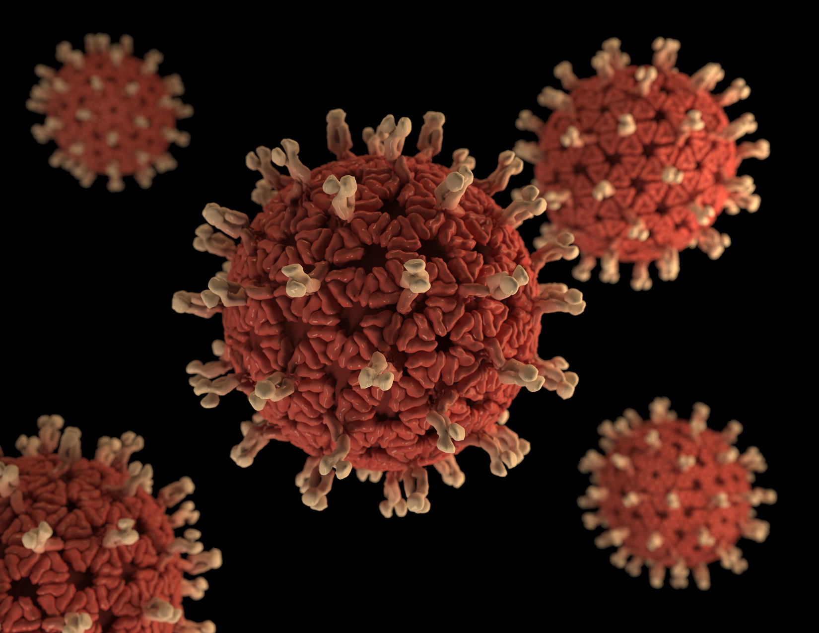 3D graphical representation of a number of rotavirus virions. The organism’s characteristic wheel-like appearance under the electron microscope gives the rotavirus its name from the Latin 'rota', meaning 'wheel.' Rotaviruses are nonenveloped, double-shelled viruses, making them quite stable in the environment.