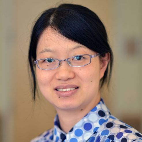 Dr. Linyan Meng