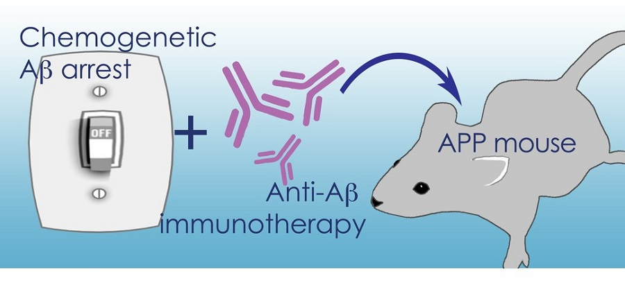 Early identification of Alzheimer's disease in mouse models