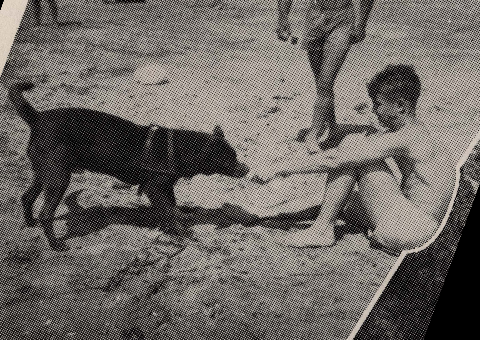 Young adult plays with a dog at the beach.
