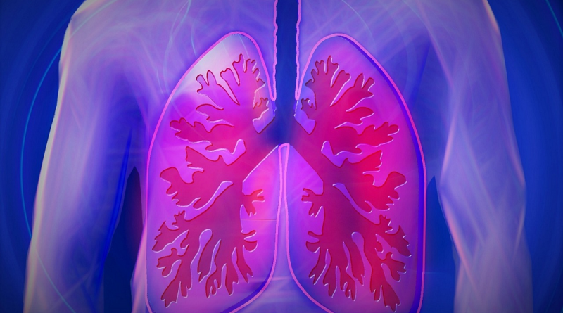 lungs-copd-photo