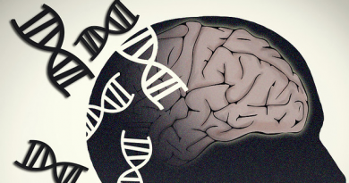 Brain-with-DNA-featured