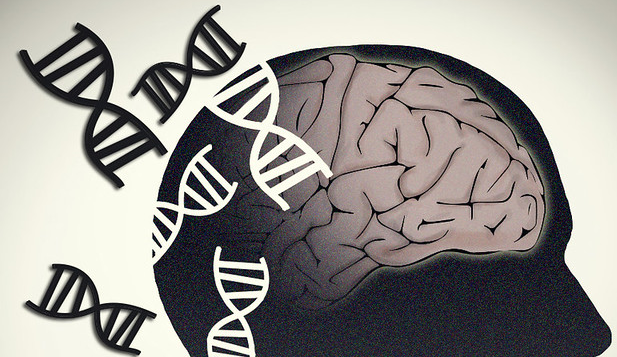 Brain-with-DNA-featured