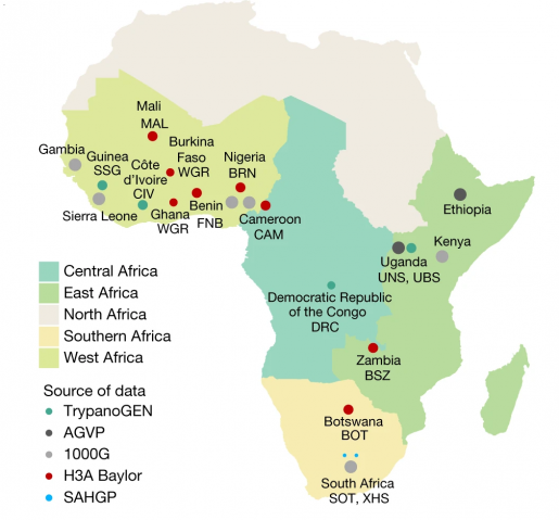 PDF) Whole genomes from Angola and Mozambique inform about the origins and  dispersals of major African migrations