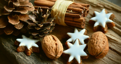 cinnamon-stars-holidays-photo