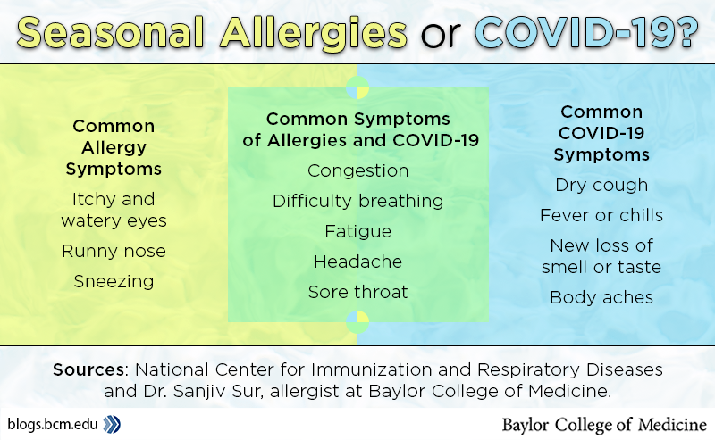 covid-vs-allergies-graphic