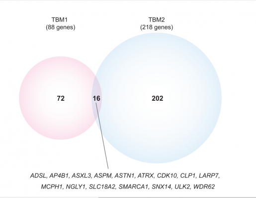 Researchers Make Strides Identifying Genetic Causes Of Rare ...