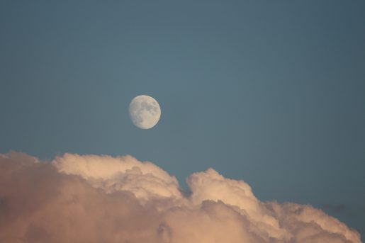 Earth's moon in a nearly-day sky, hanging above a line of clouds.