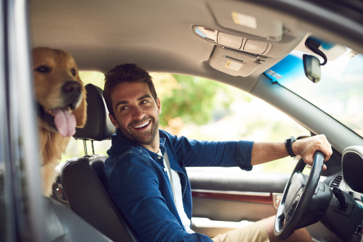 A man sitting in the driver's seat of his car. He is looking back at his happy golden retriever dog. 