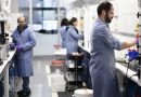 Collaboration to Advance Immune-Targeted Drug Discovery at Baylor College of Medicine