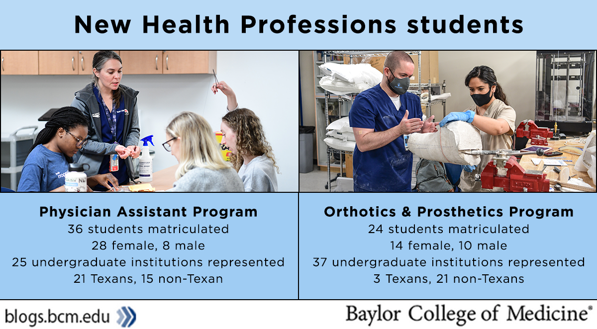 An infographic showing students working in a lab with the text: Physician Assistant Program: 36 students matriculated; 28 female, 8 male; 25 undergraduate institutions represented; 21 Texas, 15 non-Texan. Orthotics and Prosthetics Program: 24 students matriculated; 14 female, 10 male; 37 undergraduate institutions represented; 3 Texans, 21 non-Texans. 