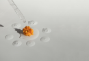 On a white and grey blank slab, a small dark-orange flower bud sits with drops of liquids around it. A dropper filled with that liquid sits above the flower bud, ready to drop more liquid on it.