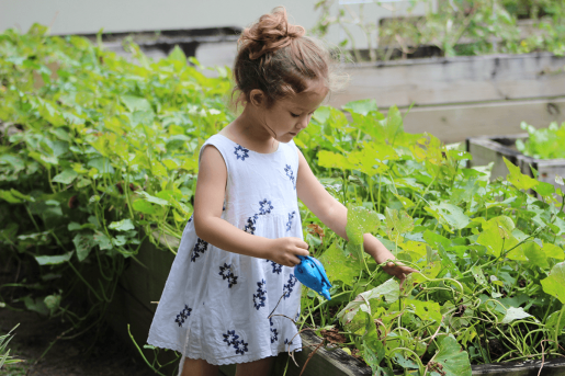 Gardening with youngsters: selling wholesome consuming and accountability