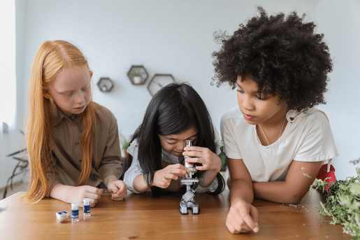 Three children sit huddled around a microscope set up at a kitchen table. One child is looking through the microscope while another prepares a slide and the third watches on.