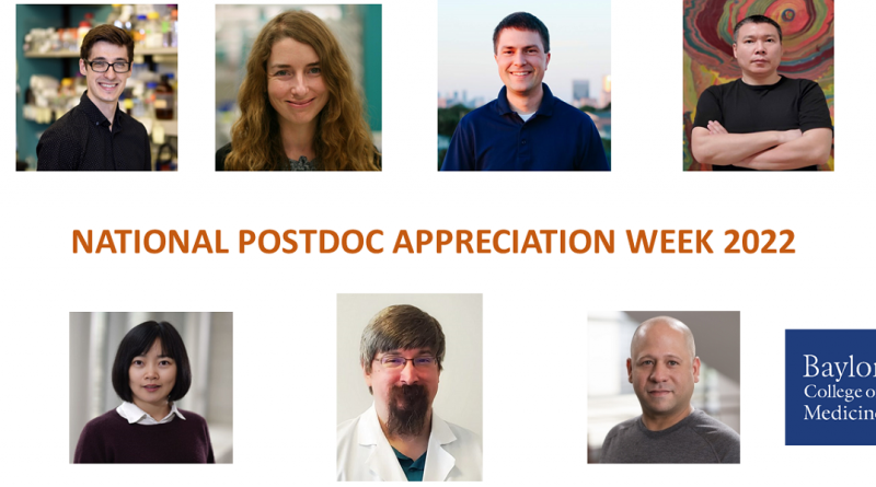 A collage of postdoc faces.