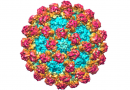 Some human GII.4 norovirus infect cells better than others; researchers have found an explanation