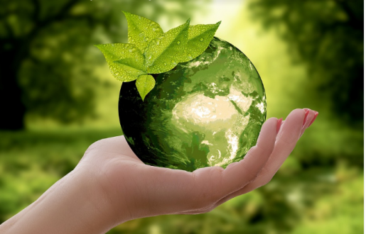 What does Earth Day mean to you? - Baylor College of Medicine Blog Network