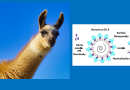 Llama power: can tiny llama nanobodies improve norovirus anti-viral therapies?