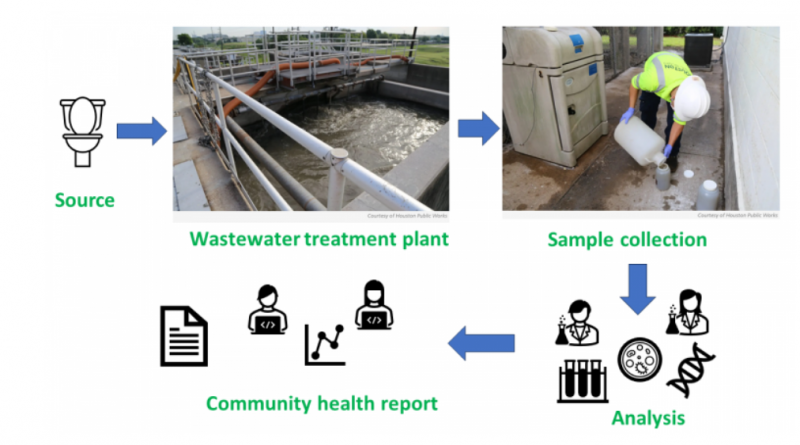 Diagram showing the process for examining wastewater. Toilet to wastewater treatment plant to sample collection to analysis to community health report.