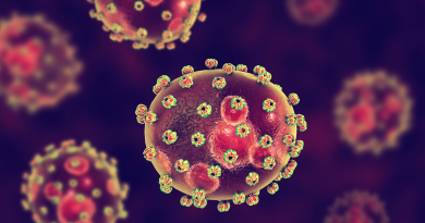 A 3D illustration of the Lassa fever virus. Several bean-shaped globs with disc-like bumps all across them.