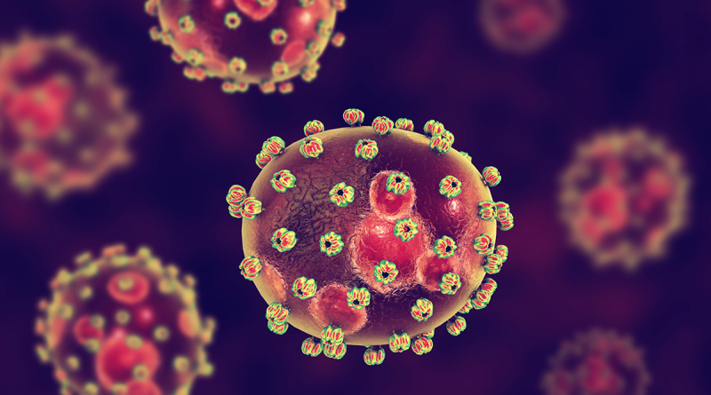 A 3D illustration of the Lassa fever virus. Several bean-shaped globs with disc-like bumps all across them.