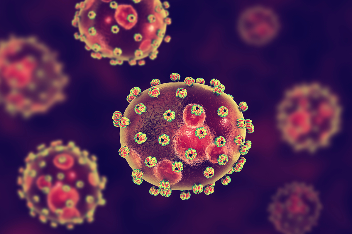 A 3D illustration of the Lassa fever virus. Several bean-shaped globs with disc-like bumps all across them.