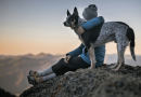 A person sitting on a hilltop with an arm around their dog as they both look off to the horizon.