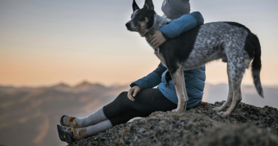 A person sitting on a hilltop with an arm around their dog as they both look off to the horizon.